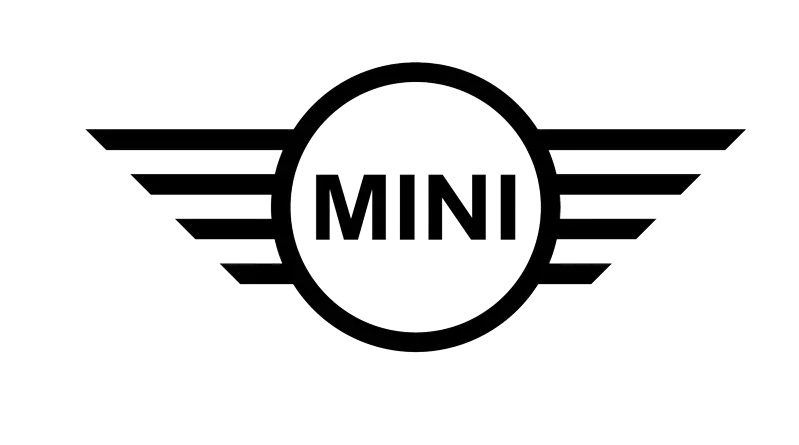 Mini Servicing